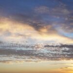 ひとつ年を取りました｜不妊治療の終わりかた｜おはぎの日記